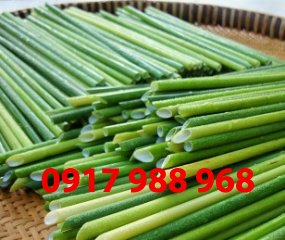 mẫu ống hút 06
