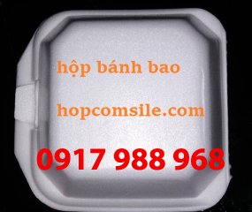 HỘP BÁNH BAO VUÔNG