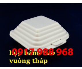 Hộp bánh Bao Vuông tháp