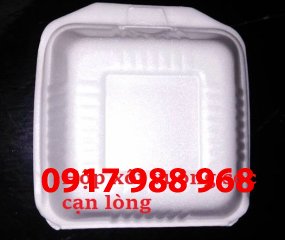 Hộp xôi vuông sọc cạn lòng